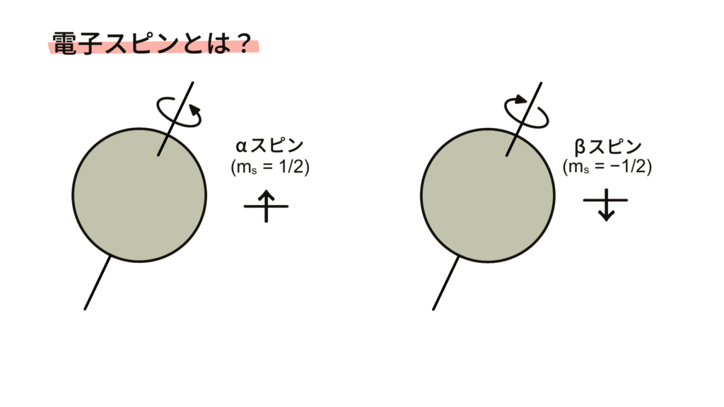 電子スピンの模式図