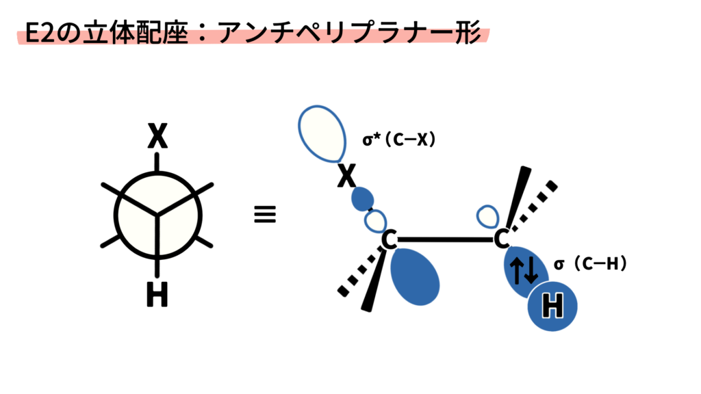 E2の立体配座_アンチペリプラナー